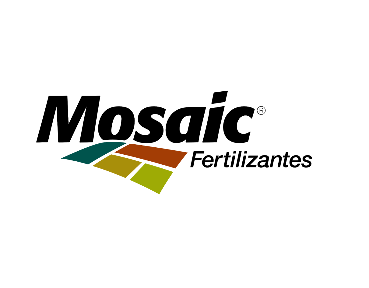 Mosaic-Transparente-1.png